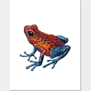 Dart frog Posters and Art